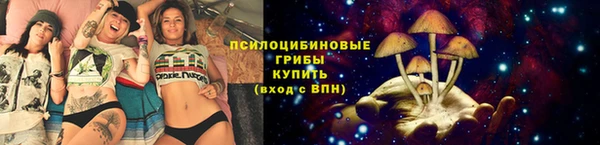 spice Белокуриха