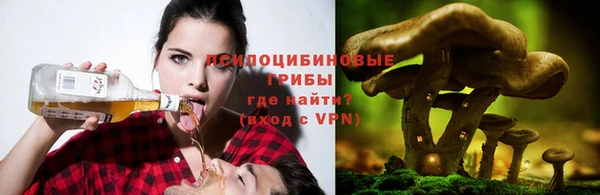 мяу мяу мука Балабаново