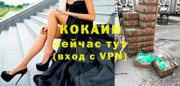 дживик Баксан