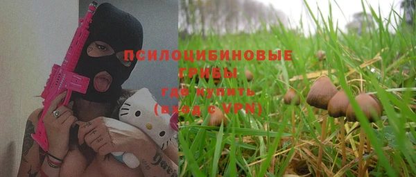дживик Баксан