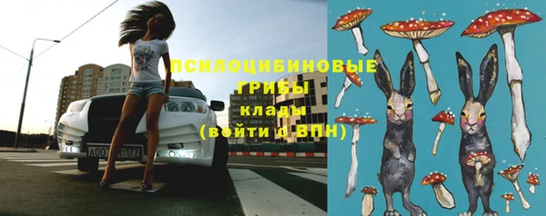 мяу мяу мука Балабаново