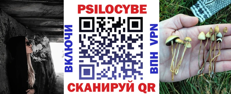 продажа наркотиков Краснокаменск Псилоцибиновые грибы Psilocybine cubensis